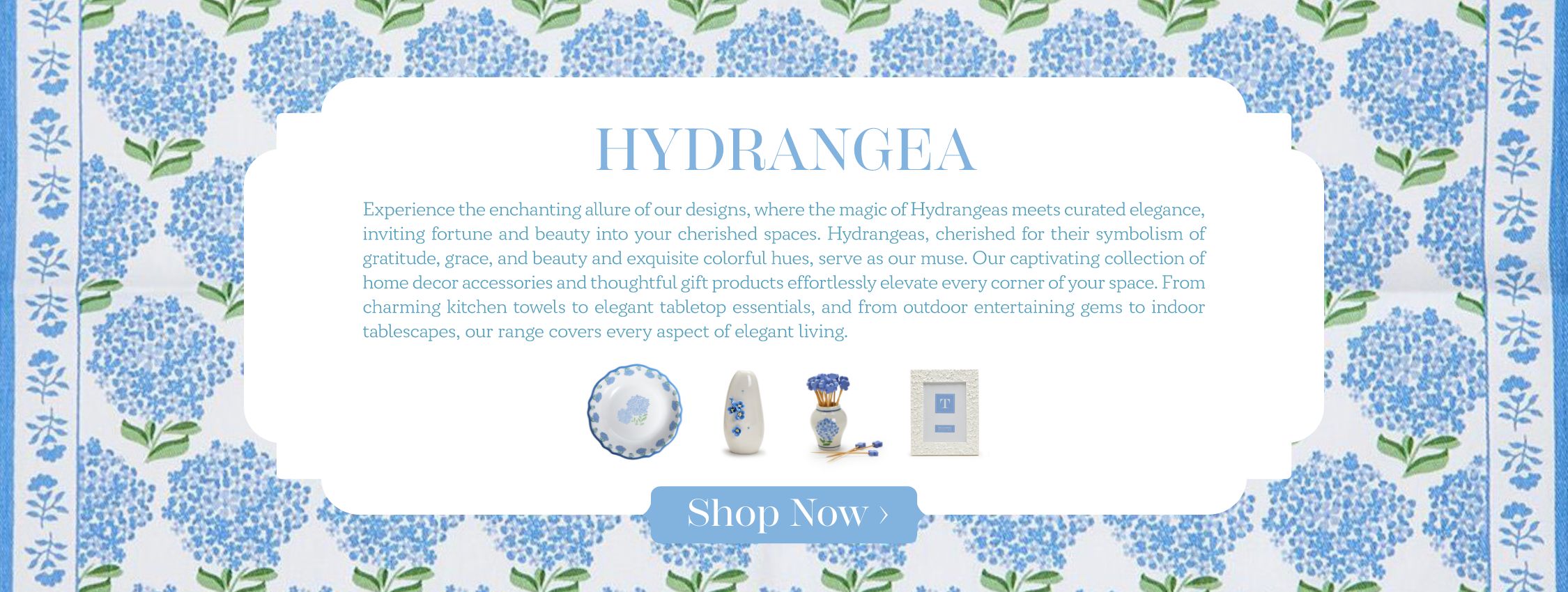 Hydrangea